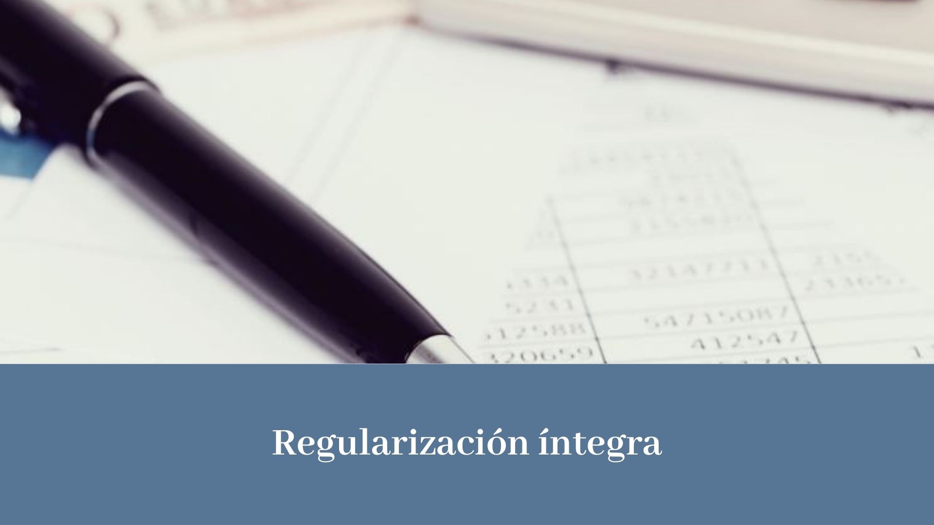 REGULARIZACIÓN ÍNTEGRA